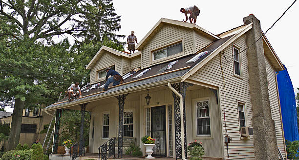 Best Gutter Installation and Roofing  in Pine Ridge, SC