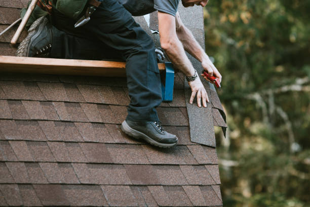 Best Gutter Installation and Roofing  in Pine Ridge, SC